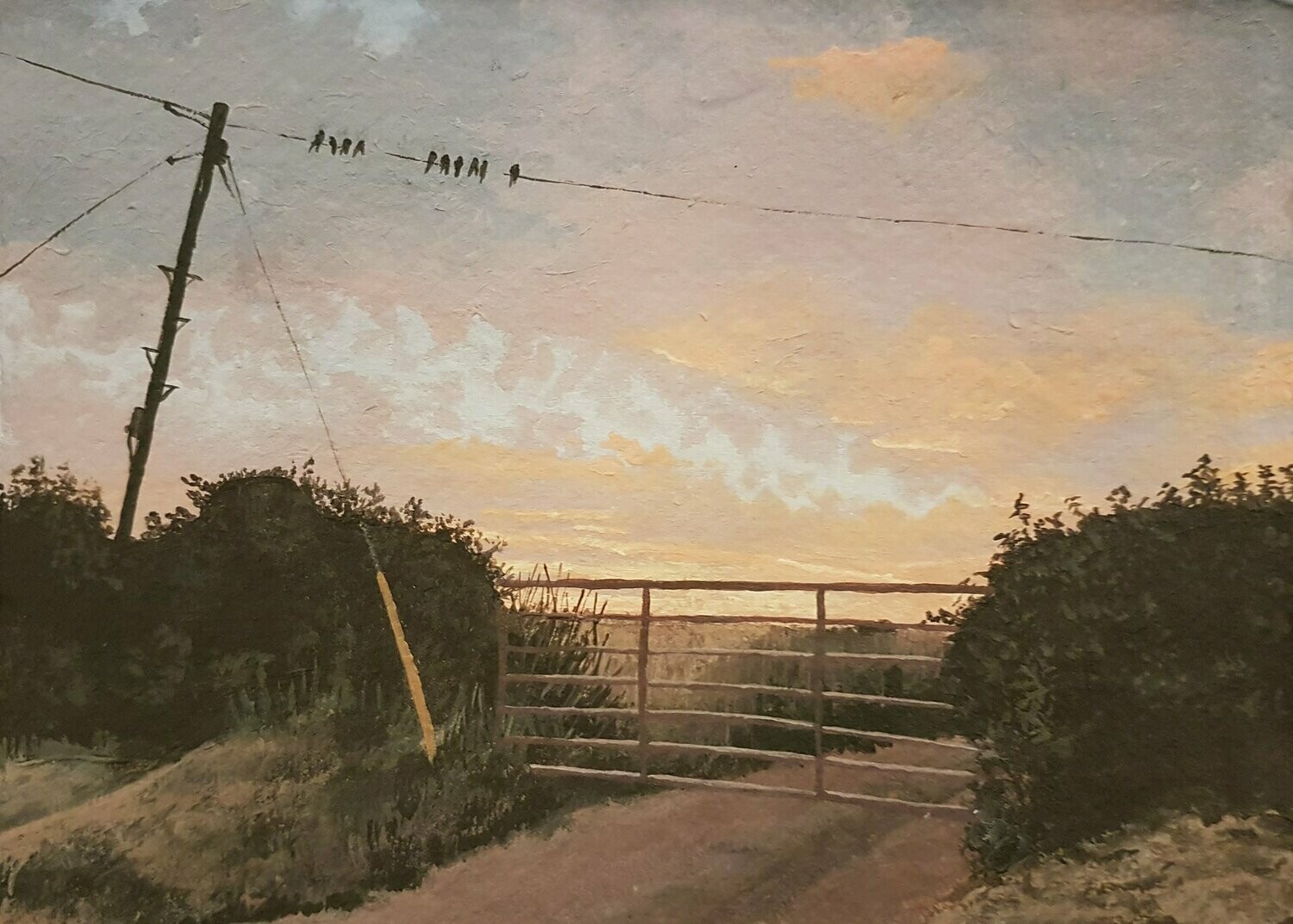 Like a Bird