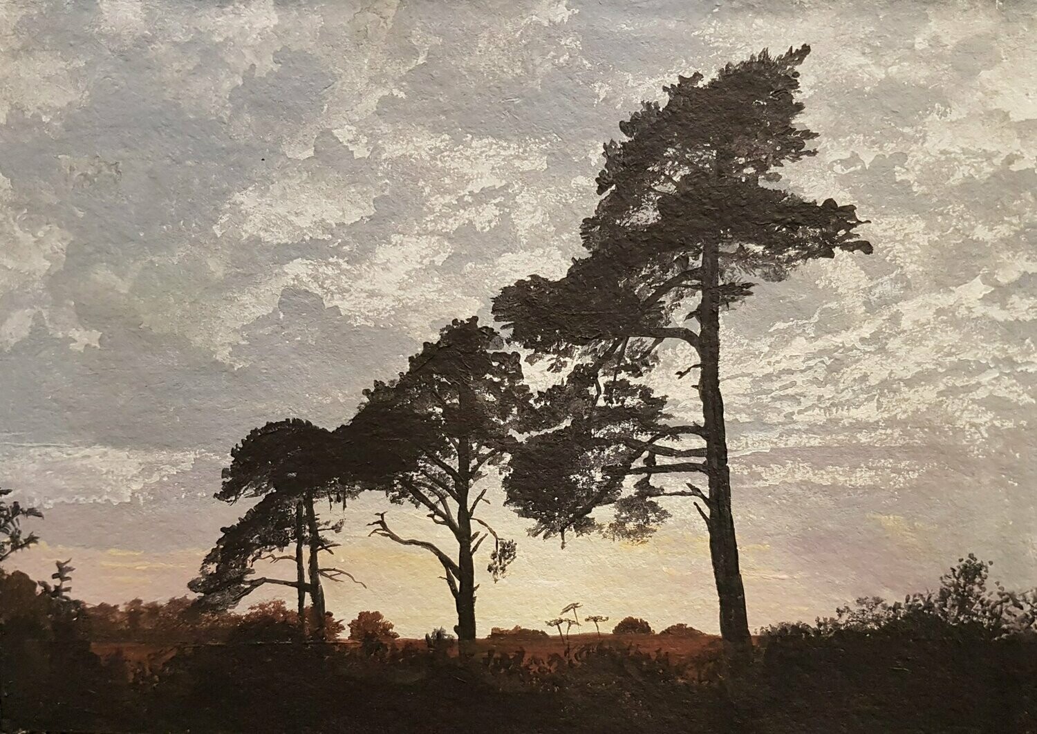 The Pines