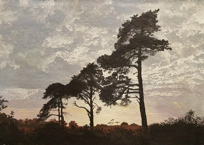 The Pines
