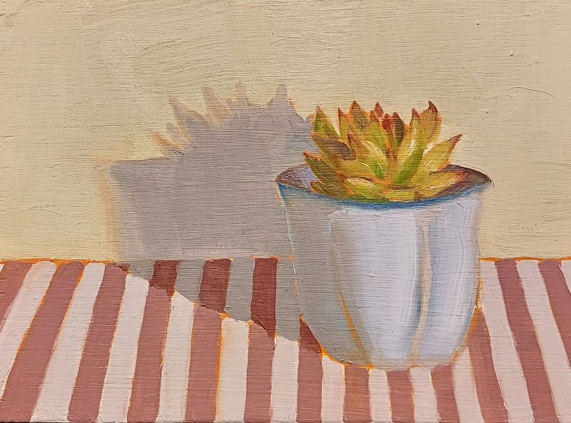 Succulent