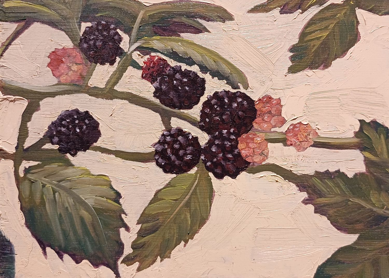 Blackberries 2