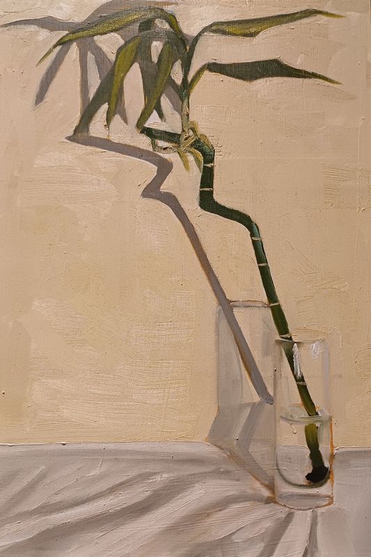 Bamboo