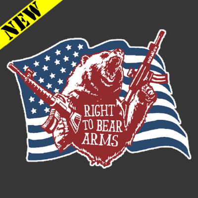 T-Shirt - Right To Bear Arms