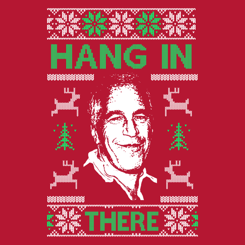 Sweatshirt - Christmas Sweater - Hang In There