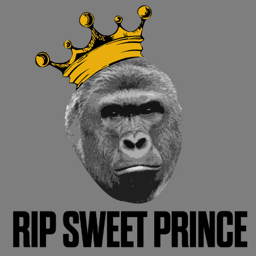 T-Shirt - RIP Sweet Prince