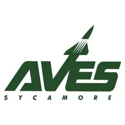 Sycamore
