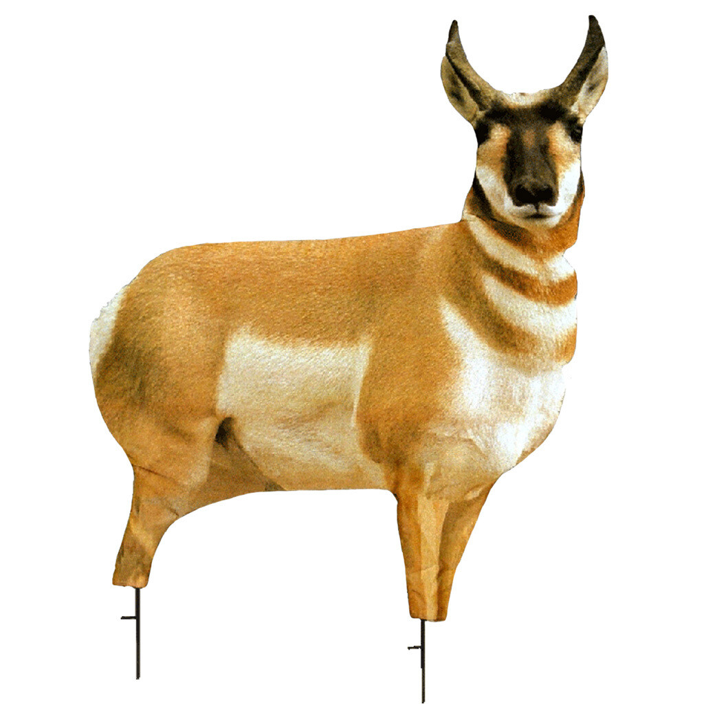 Montana Decoy Antelope Buck Montana Decoy Antelope Buck
