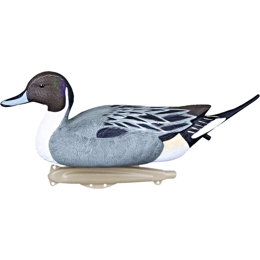 Flambeau Classic Pintail Decoy 6 Pk. Flambeau Classic Pintail Decoy 6 Pk.