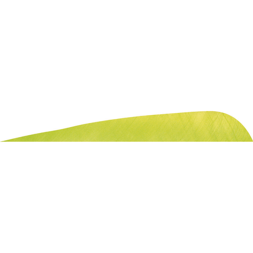 Gateway Parabolic Feathers Lemon Lime 4 In. Rw 50 Pk.