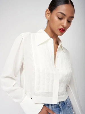Blouses and Bodysuits