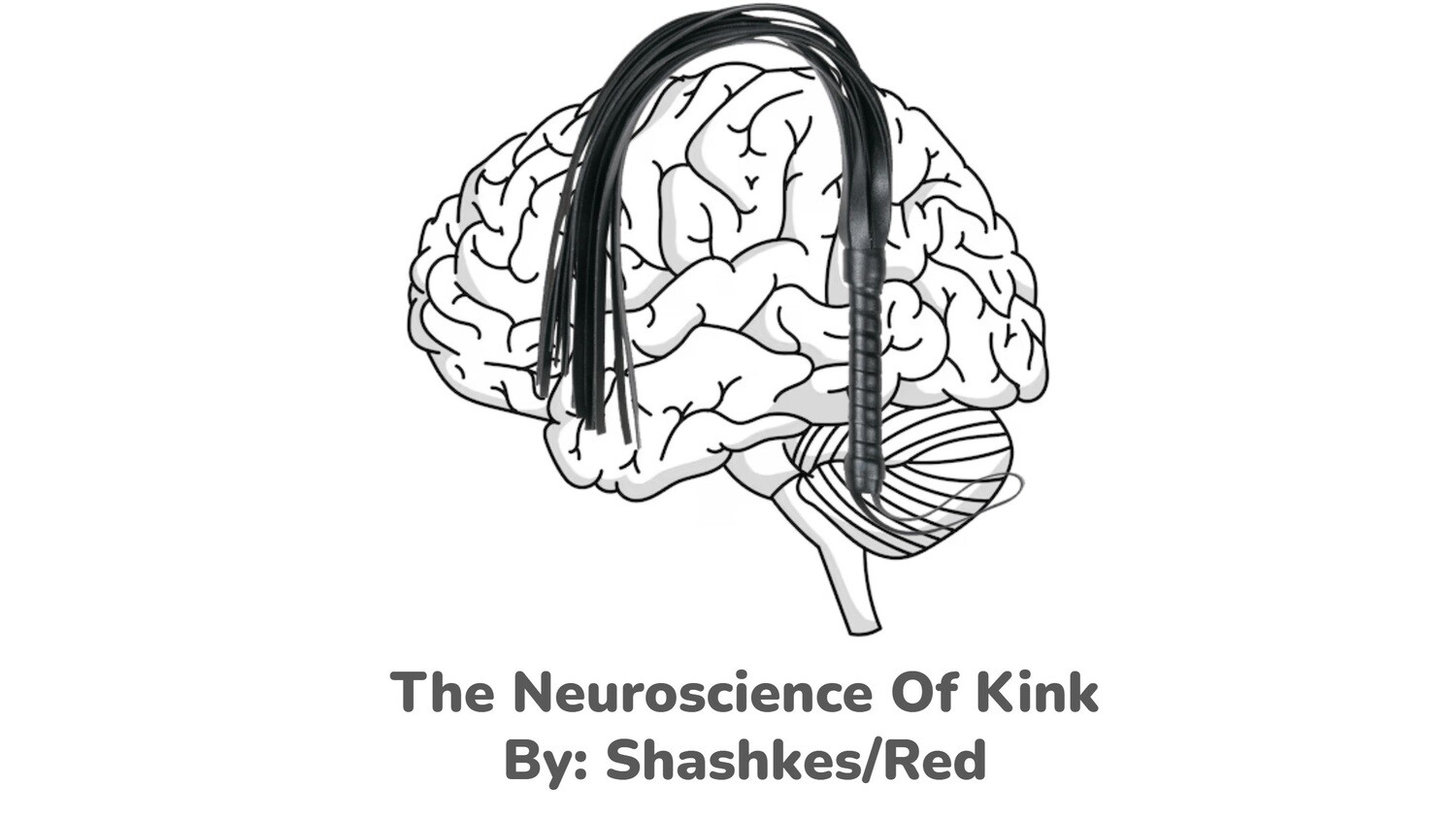 The Neuroscience of Kink Video Lecture And Slides
