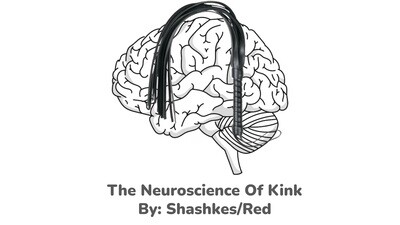 The Neuroscience of Kink Video Lecture And Slides