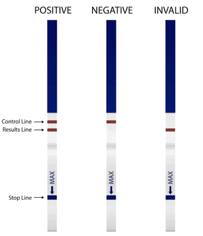 Urine Pregnancy Tests (Set Of 10 Strips)