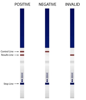 Urine Pregnancy Tests (Set Of 10 Strips)