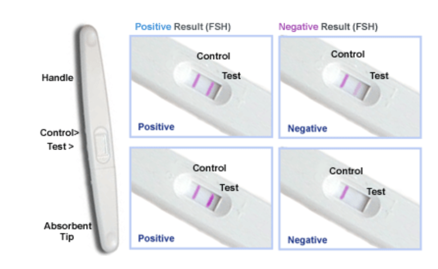 Sunc test. Тест на беременность в негативе. hcg тест. test positive and negative. тест на беременность через негатив.
