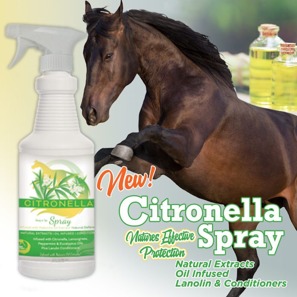 Horse Citronella Spray for Coat Horse Citronella Spray for Coat, Mane & Tail by Healthy HairCare