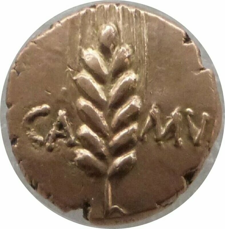 1st Century AD to 40 AD Celtic Cunobelin Gold Stater Coin Wild Type