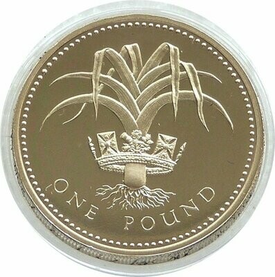 1990 Welsh Leek £1 Proof Coin