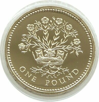 1991 Irish Flax Plant £1 Proof Coin