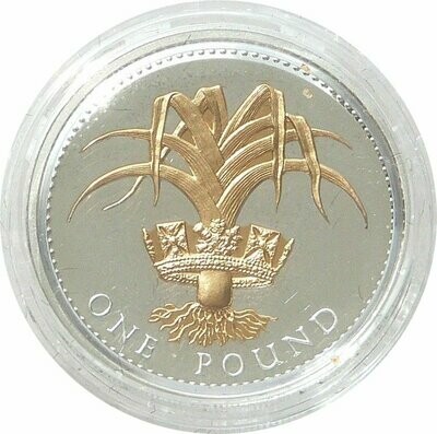 2008 Welsh Leek £1 Silver Gold Proof Coin