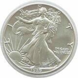 1989 American Eagle $1 Silver 1oz Coin