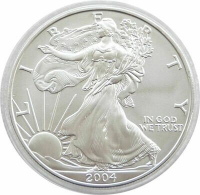 2004 American Eagle $1 Silver 1oz Coin