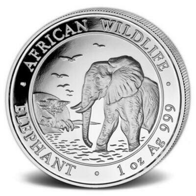 2010 Somalia Elephant 100 Shillings Silver 1oz Coin