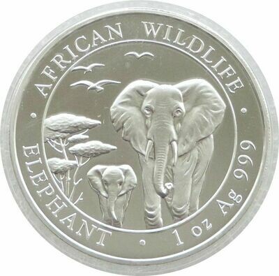2015 Somalia Elephant 100 Shillings Silver 1oz Coin