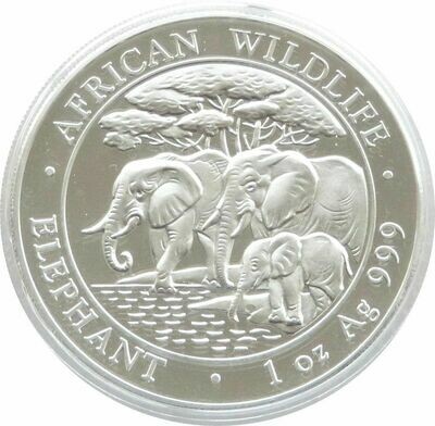 2013 Somalia Elephant 100 Shillings Silver 1oz Coin