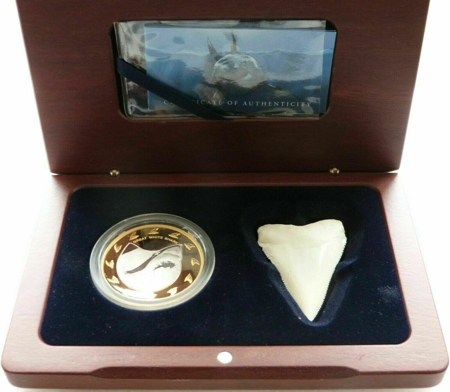2005 Cook Islands Great White Shark Bi-Metal $150 Gold Silver Proof 2oz Coin Box Coa