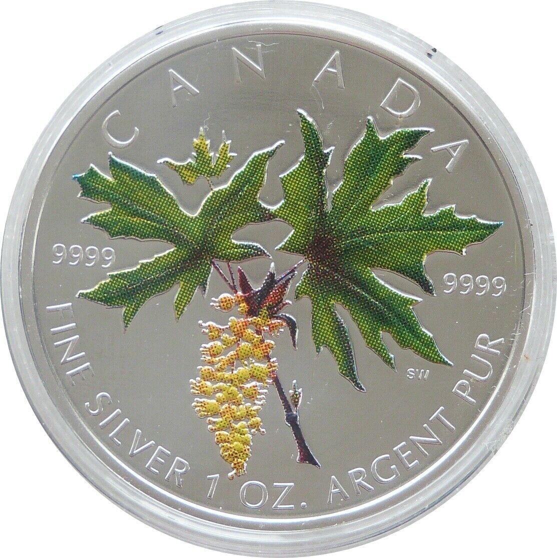 2005 Canada Maple Leaf Colour $5 Silver 1oz Coin Box Coa