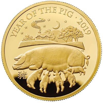 Year of the Pig Coins