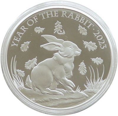 Lunar Rabbit Coins