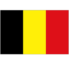 Belgian Coins