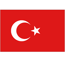 Turkish Coins