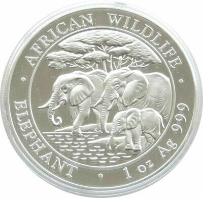2013 Somalia Elephant 100 Shillings Silver 1oz Coin 2013 Somalia Elephant 100 Shillings Silver 1oz Coin