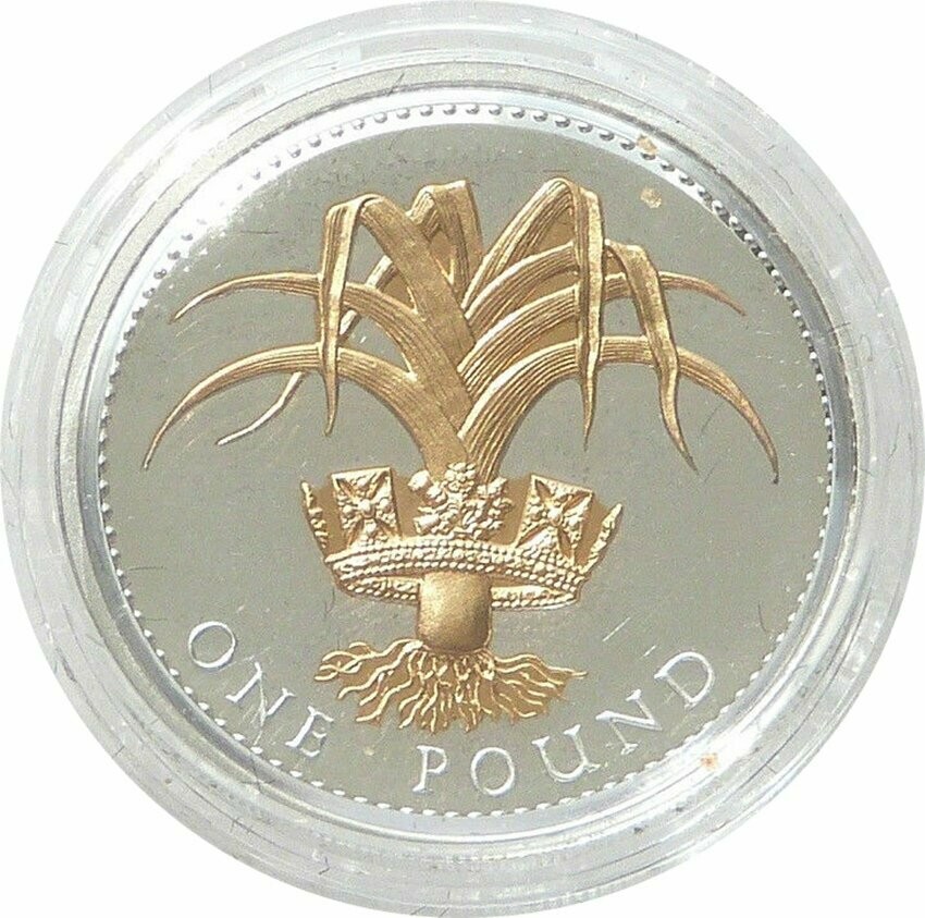2008 Welsh Leek £1 Silver Gold Proof Coin 2008 Welsh Leek £1 Silver Gold Proof Coin