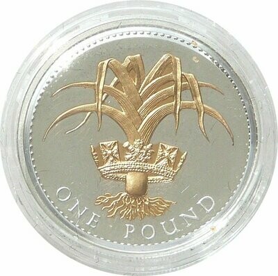 2008 Welsh Leek £1 Silver Gold Proof Coin 2008 Welsh Leek £1 Silver Gold Proof Coin