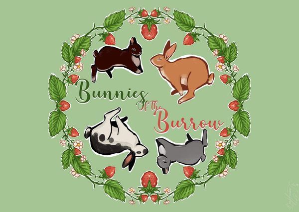 Bunnies Of The Burrow