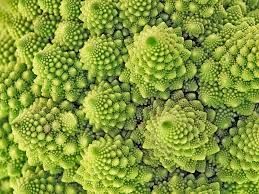 le chou romanesco