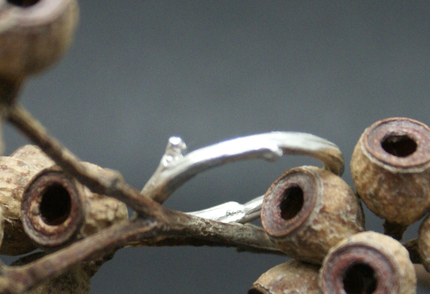 Ring "Zweig" aus Sterlingsilber