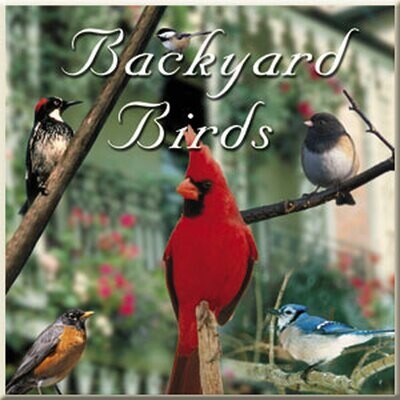"Naturescapes Music Backyard Birds" CD