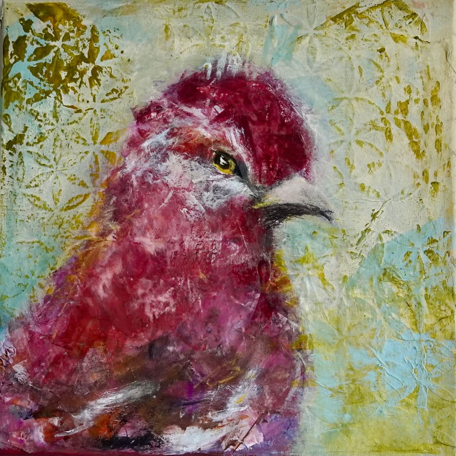 Purple Finch
