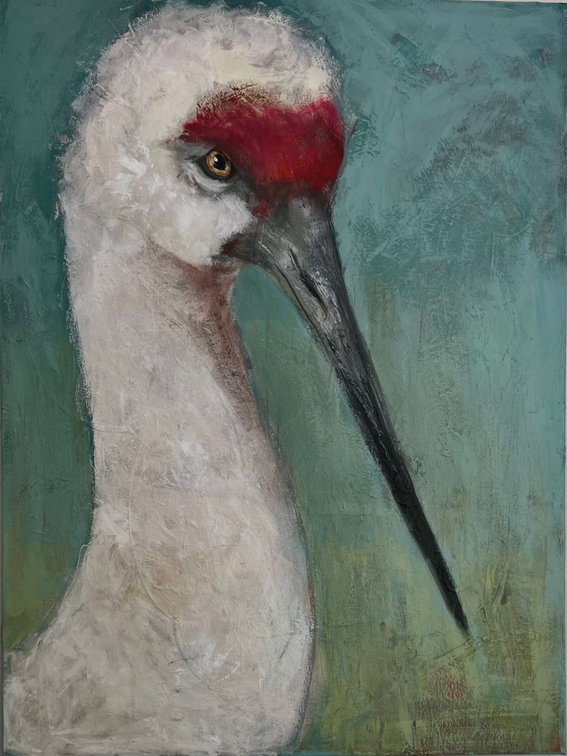 Sandhill Crane