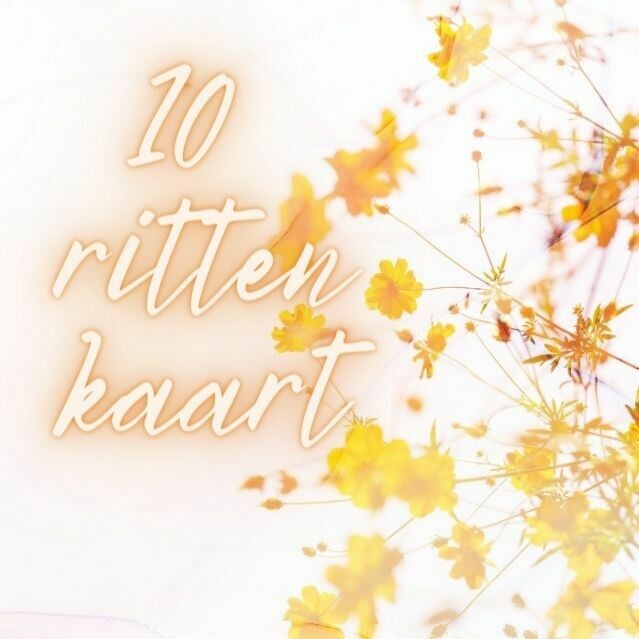 10 rittenkaart