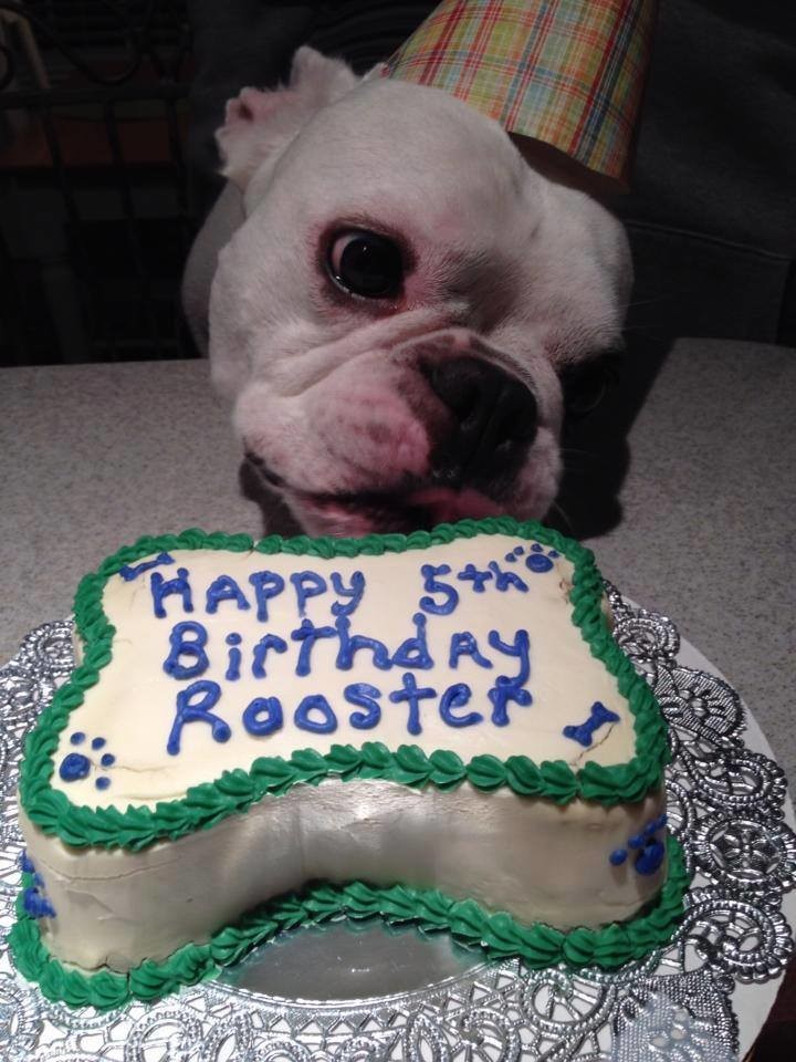 Mini Birthday Cake