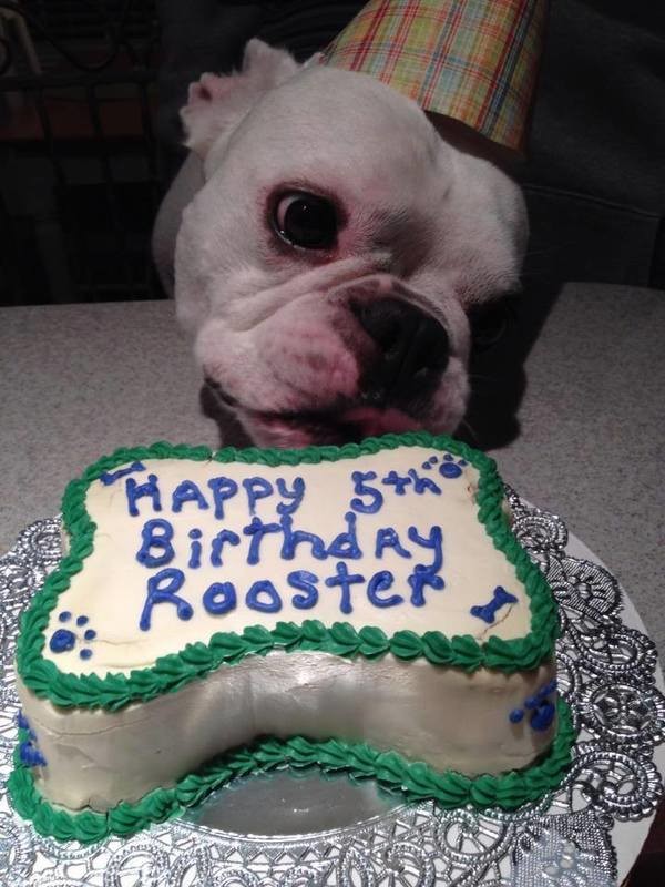Mini Birthday Cake
