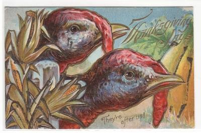 Thanksgiving Day They're After Us Turkeys 1910c postcard