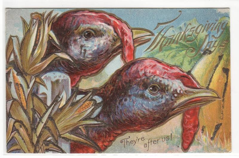 Thanksgiving Day They're After Us Turkeys 1910c postcard