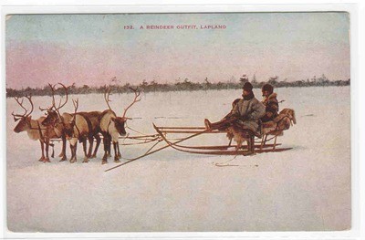 Reindeer Sled Lapland Norway 1910c postcard